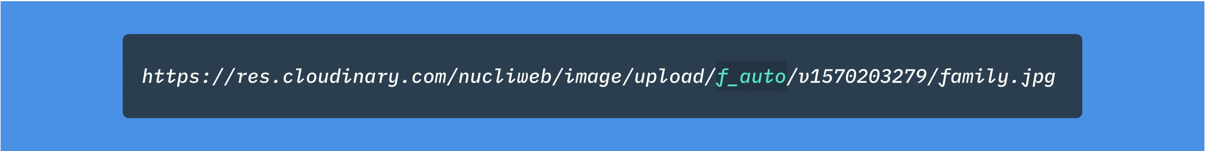 Cloudinary f_auto